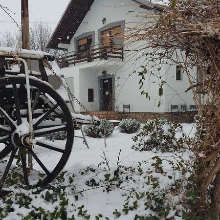 Moj Salas Novi Sad Exteriör bild