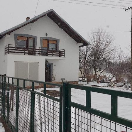Moj Salas Novi Sad Exteriör bild